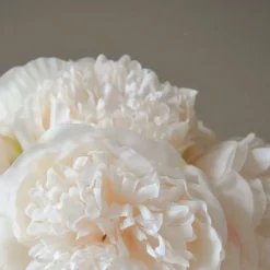 Botané Mini Peony Bouquet Outlet