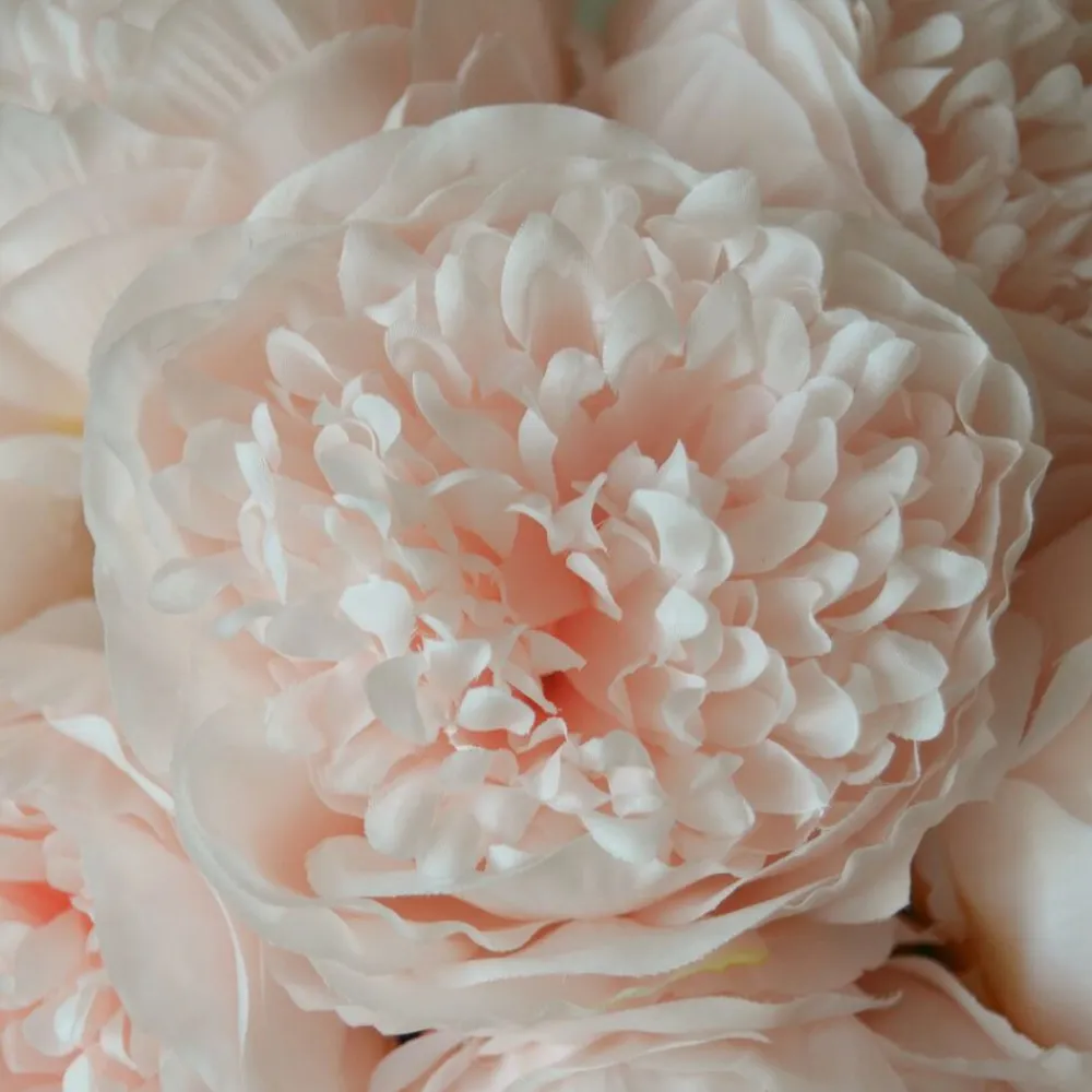 Mini Peony Bouquet>Botané Discount