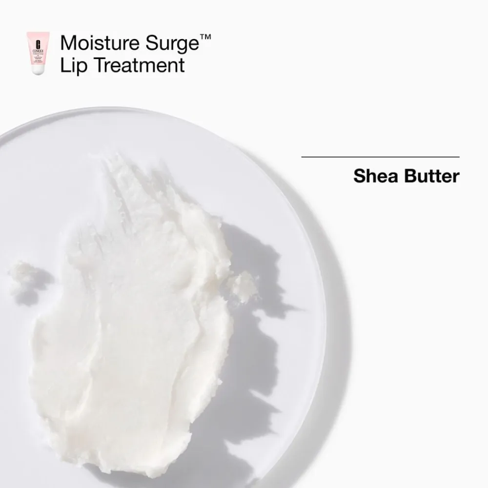 Clinique MOISTURE SURGE MEGASTARS Online