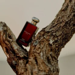 Myrrh & Tonka Cologne Intense><noscript><img width=