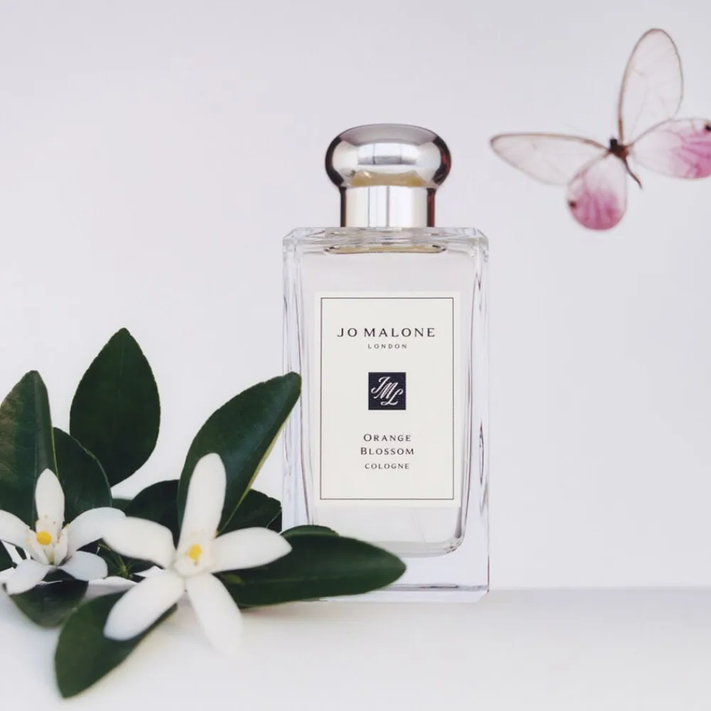 Orange Blossom Cologne>Jo Malone London Clearance