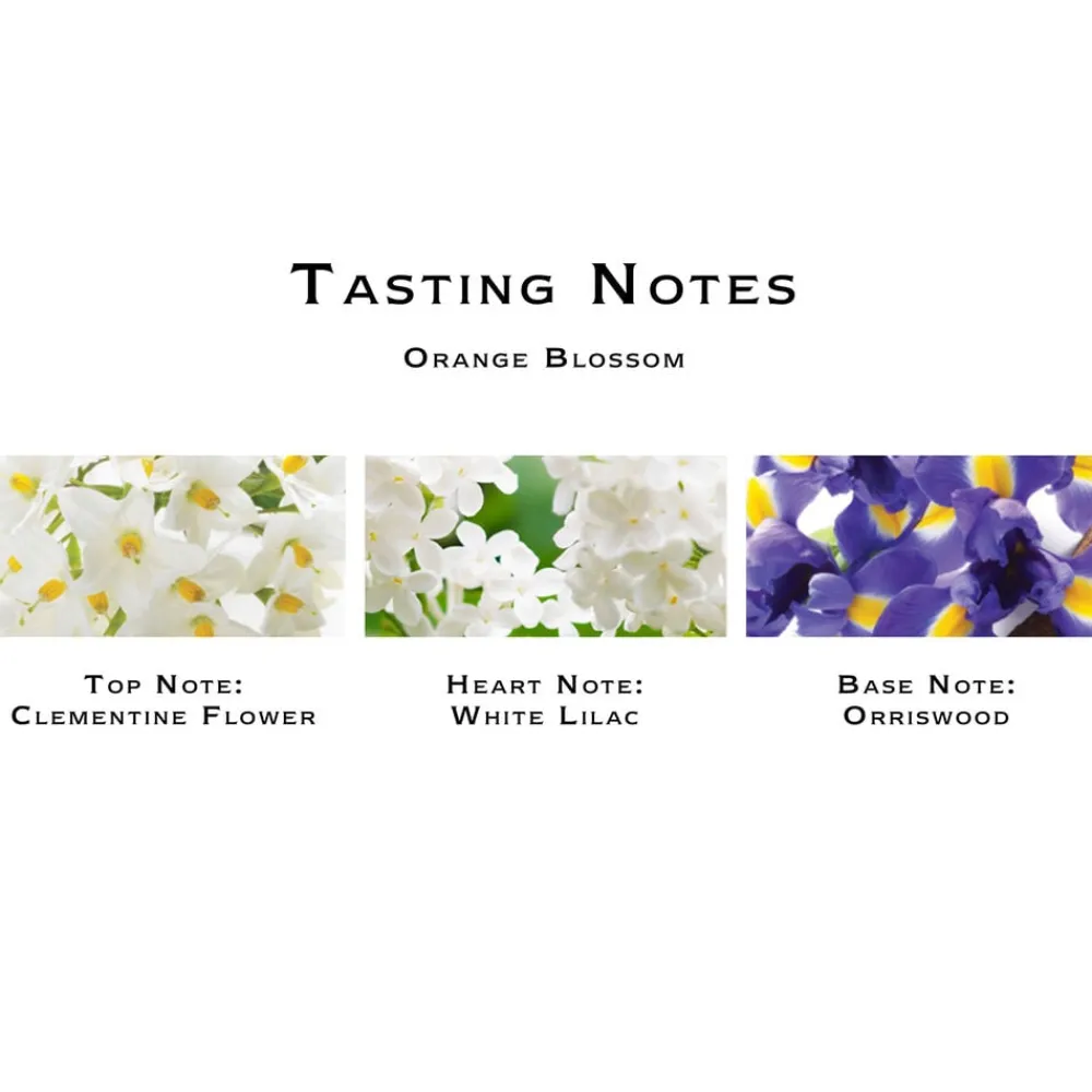 Orange Blossom Cologne>Jo Malone London Clearance