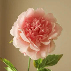 Botané Peony Flower Hot