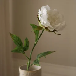 Peony Flower>Botané Best