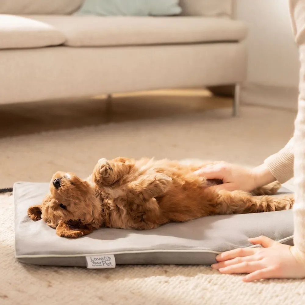 Beurer PetCare PP 210 Lilli Varmemåtte til kæledyr 41x34 cm Best