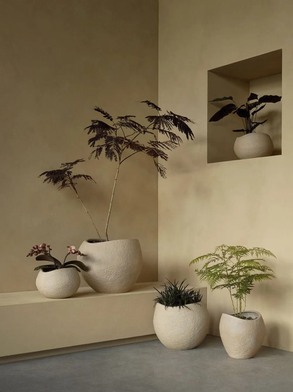 Plantas Planter, H 26, Ivory>Audo Copenhagen Online
