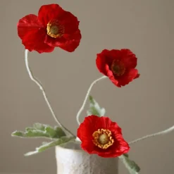 Botané Poppy Flower Online