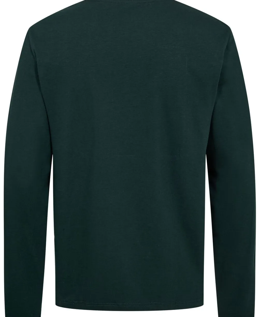 Lacoste PYJAMAS UNDERWEAR Sinople/white