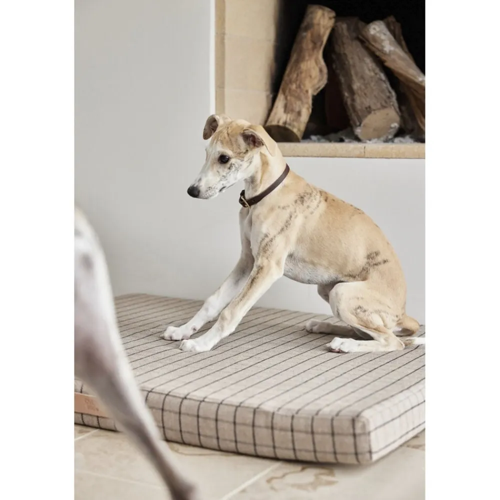 Robin Hundehalsbånd - Lille>OYOY Living Design Hot