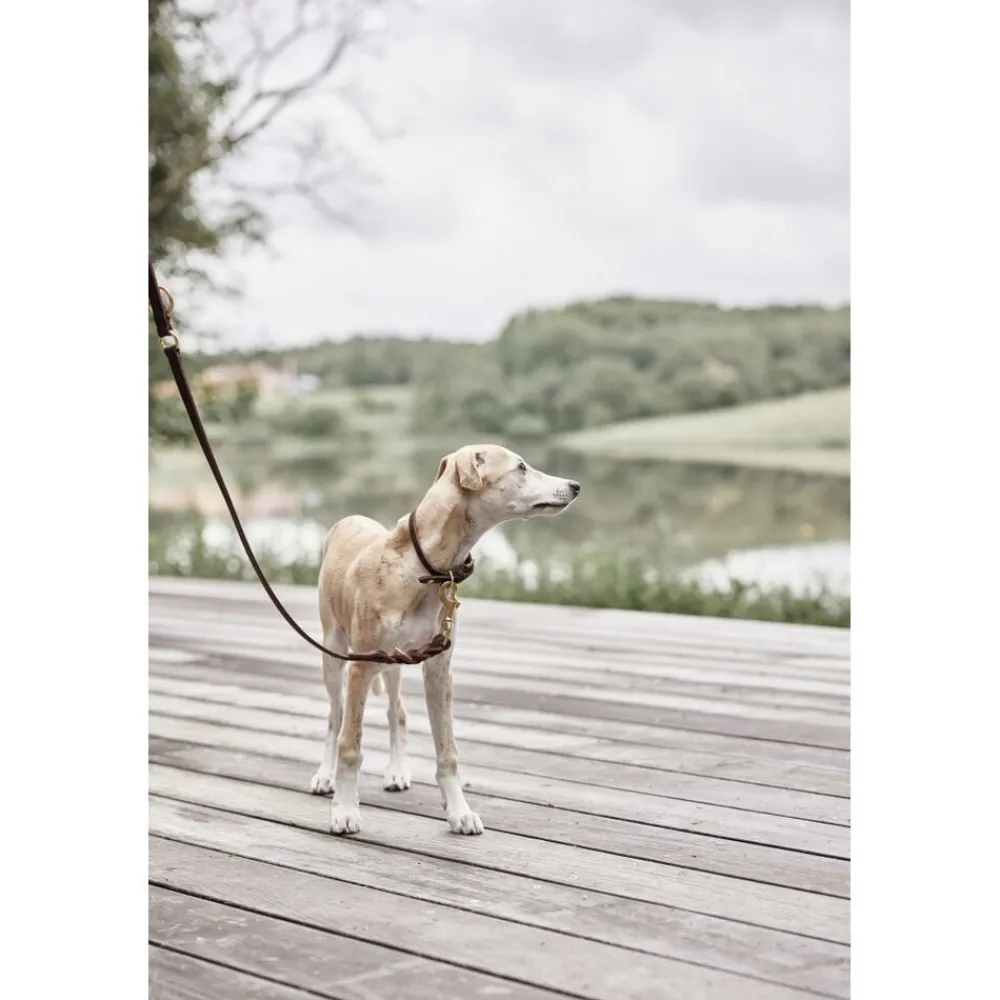OYOY Living Design Robin Hundesnor - M/L