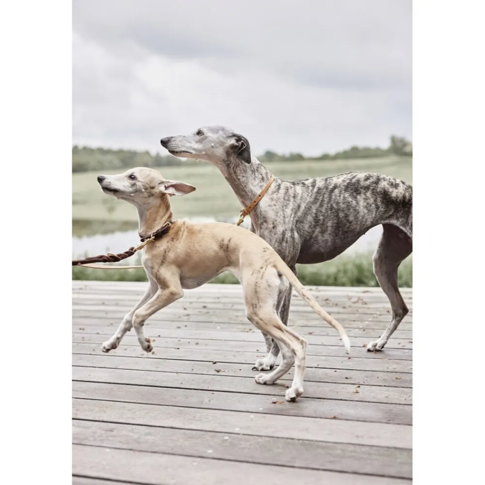 OYOY Living Design Robin Hundesnor - M/L