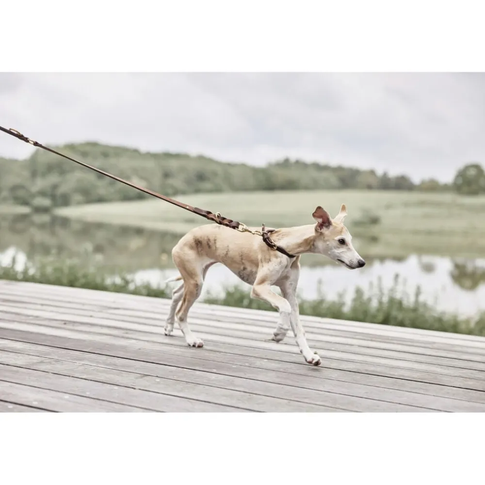 OYOY Living Design Robin Hundesnor - M/L