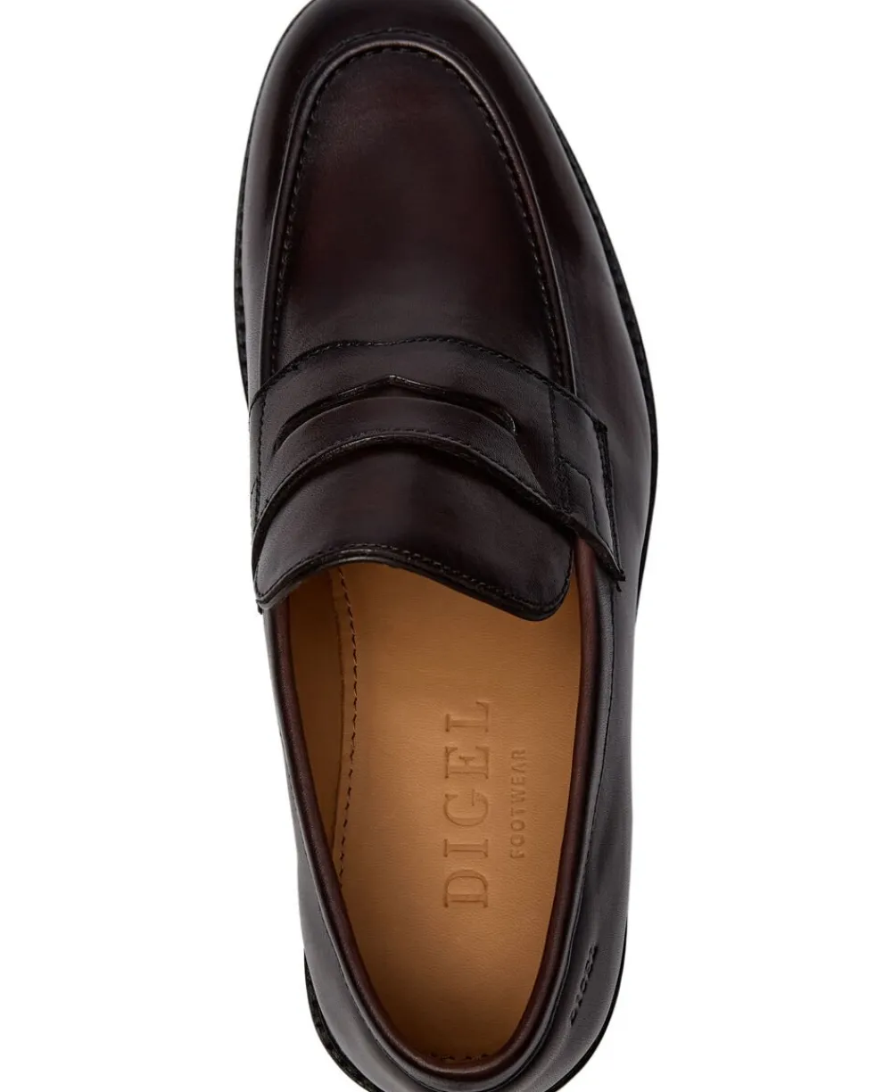DIGEL Sander Brown
