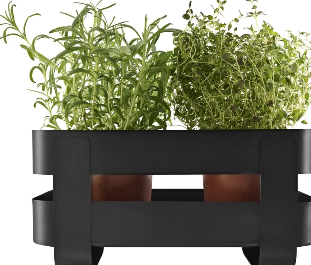 Eva Solo Selvvandende Herb organiser stål Black Online