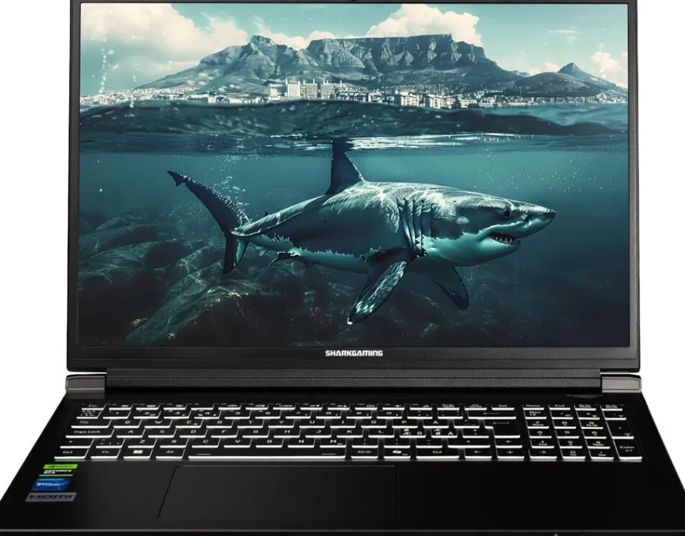 SharkGaming 9G17-70 Ti I9 Laptop>Shark Gaming Best