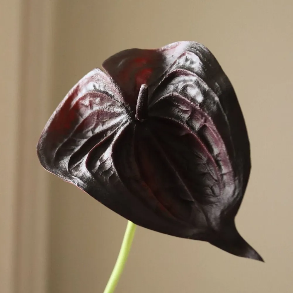 Botané Small Anthurium Flower