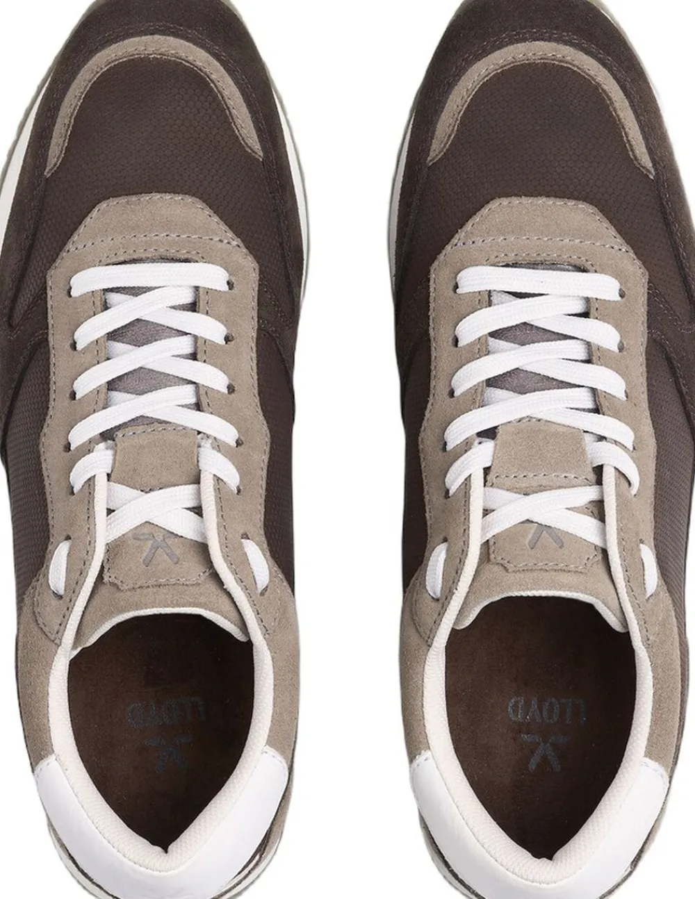 Lloyd SWIFT Multicolor Hot