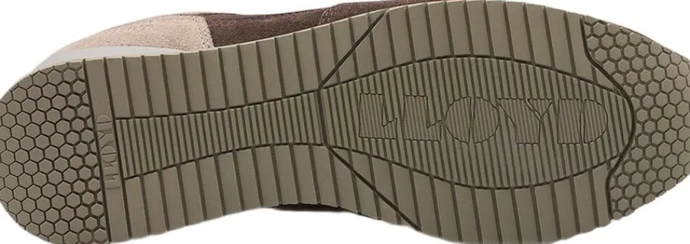 Lloyd SWIFT Multicolor Hot