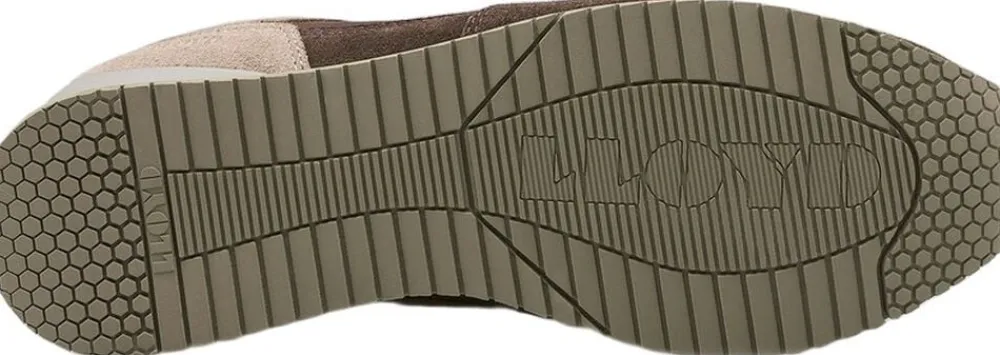 Lloyd SWIFT Multicolor Hot