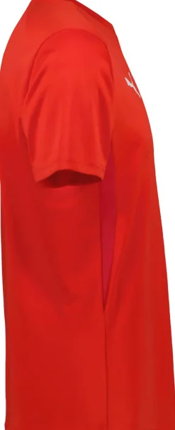Puma TeamGoal Trænings T-shirt R&oslash;d Hot