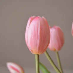 Tulip Bouquet>Botané New