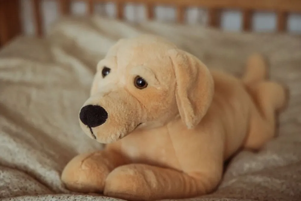 TYNGDEDYR HUND. 2,2 KG>Legetøj Online