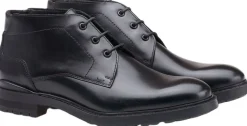 VIBE 325>Lloyd Outlet