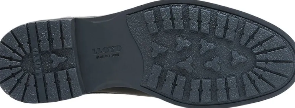 VIBE 325>Lloyd Outlet