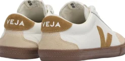Volley>Veja