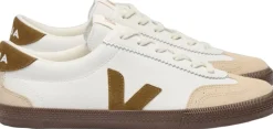 Volley><noscript><img width=
