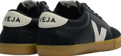 Volley><noscript><img width=