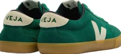 Volley><noscript><img width=