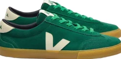 Volley><noscript><img width=