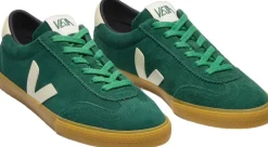 Volley><noscript><img width=