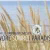 Bøger Vores somre i paradis Best