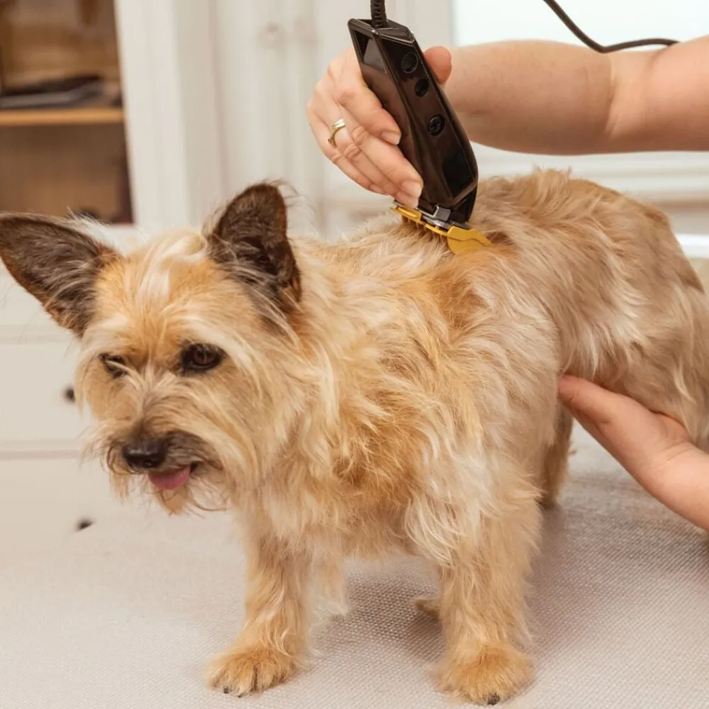 Hundeklipper Multicut>WAHL New