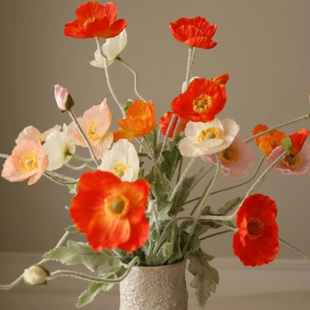 Botané Wild Poppy Dance