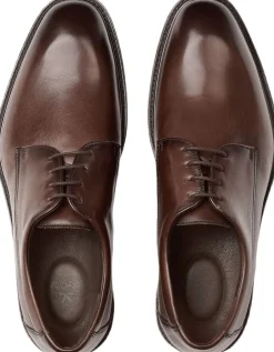 Lloyd X-MOTION 110