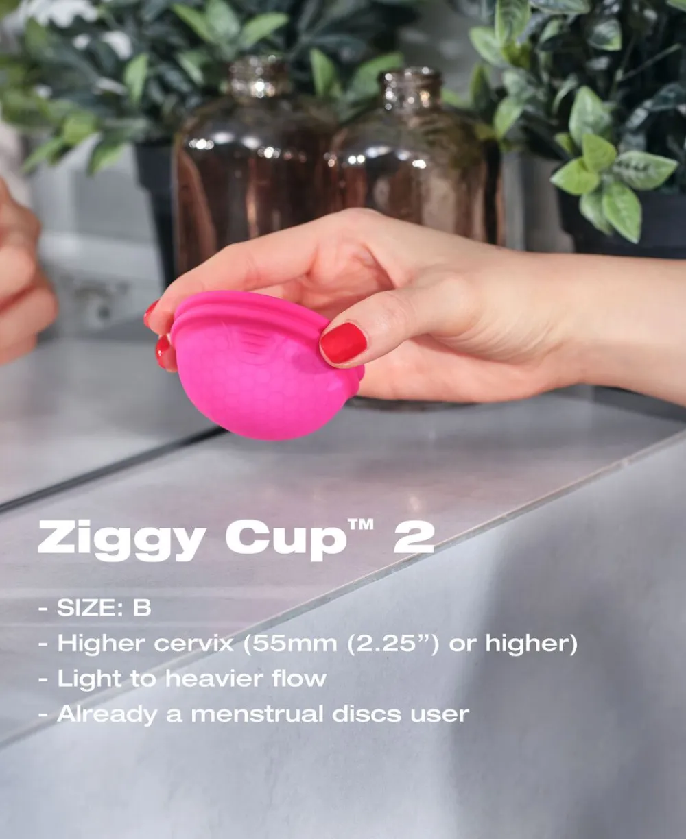 Ziggy Cup 2 Size B>INTIMINA